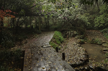 巴黎博物馆(探秘法国著名景点：巴黎博物馆)