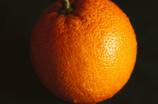 小青柑：别样口感的柑橘