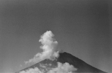 太行山上电影(太行山上电影圆了山村儿童的电影梦)