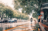 雨霖铃柳永(雨霖铃柳永传（300字）)